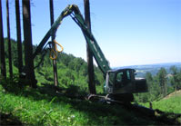 Raupenharvester Tiger 20