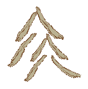 Logo Forstbetrieb Volgger / Holzernte - Problembaumf&auml;llungen, Steilh&auml;ngespezialist, Maschinentransporte u.v.m.